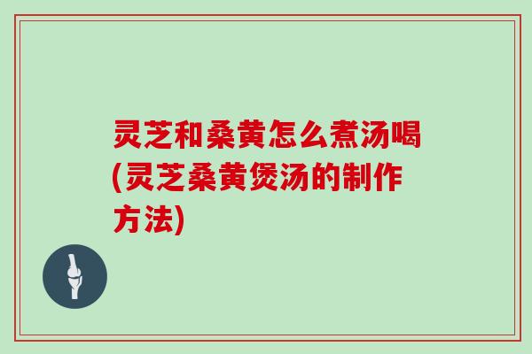 灵芝和桑黄怎么煮汤喝(灵芝桑黄煲汤的制作方法)