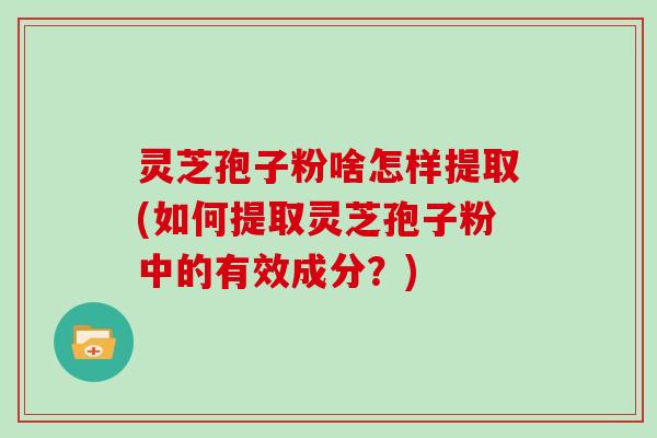 灵芝孢子粉啥怎样提取(如何提取灵芝孢子粉中的有效成分？)