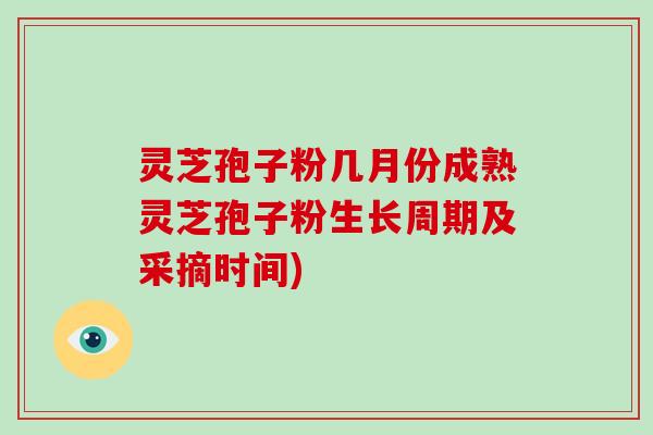 灵芝孢子粉几月份成熟灵芝孢子粉生长周期及采摘时间)