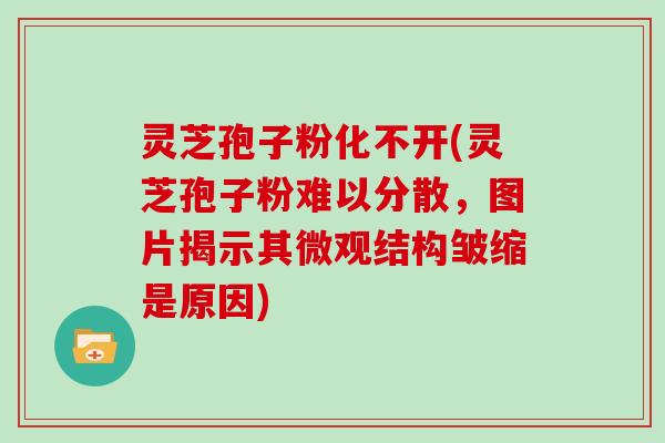 灵芝孢子粉化不开(灵芝孢子粉难以分散，图片揭示其微观结构皱缩是原因)