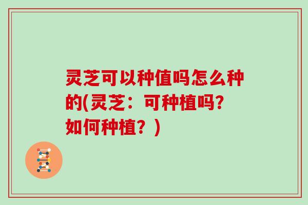 灵芝可以种值吗怎么种的(灵芝：可种植吗？如何种植？)