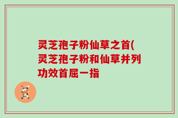 灵芝孢子粉仙草之首(灵芝孢子粉和仙草并列功效首屈一指