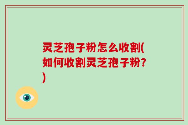 灵芝孢子粉怎么收割(如何收割灵芝孢子粉?)-第1张图片-灵芝大师 灵芝孢子粉怎么收割(如何收割灵芝孢子粉?)-第1张图片-灵芝大师