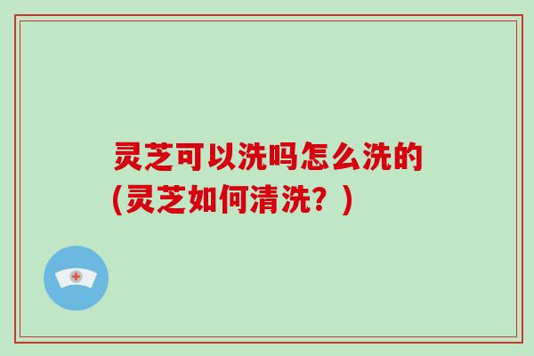 灵芝可以洗吗怎么洗的(灵芝如何清洗？)
