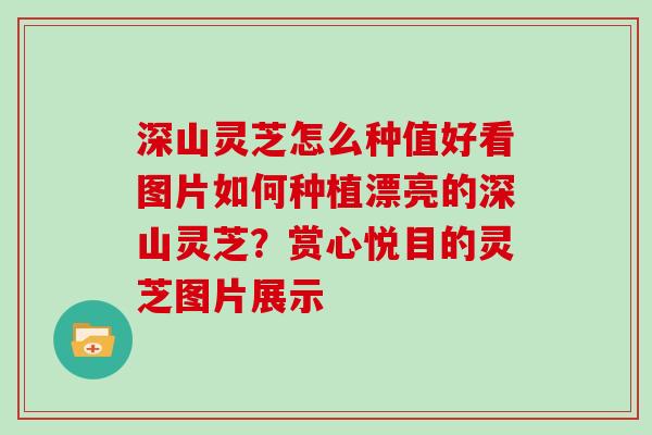 深山灵芝怎么种值好看图片如何种植漂亮的深山灵芝?赏心悦目的灵芝图片展示-第1张图片-灵芝大师 深山灵芝怎么种值好看图片如何种植漂亮的深山灵芝?赏心悦目的灵芝图片展示-第1张图片-灵芝大师