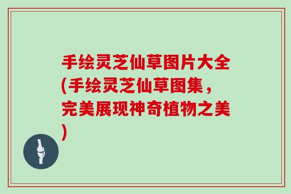 手绘灵芝仙草图片大全(手绘灵芝仙草图集，完美展现神奇植物之美)