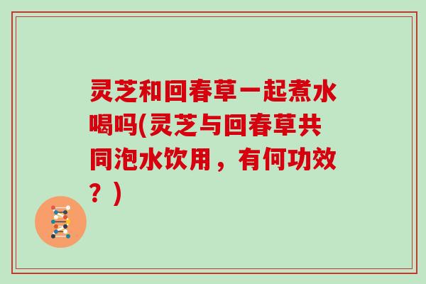 灵芝和回春草一起煮水喝吗(灵芝与回春草共同泡水饮用,有何功效?)-第1张图片-灵芝大师 灵芝和回春草一起煮水喝吗(灵芝与回春草共同泡水饮用,有何功效?)-第1张图片-灵芝大师