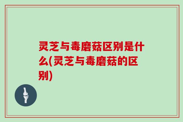 灵芝与毒磨菇区别是什么(灵芝与毒磨菇的区别)