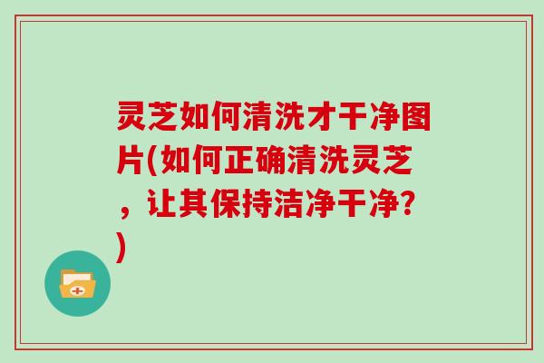 灵芝如何清洗才干净图片(如何正确清洗灵芝,让其保持洁净干净?)-第1张图片-灵芝大师 灵芝如何清洗才干净图片(如何正确清洗灵芝,让其保持洁净干净?)-第1张图片-灵芝大师