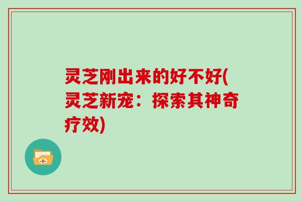 灵芝刚出来的好不好(灵芝新宠:探索其神奇疗效)-第1张图片-灵芝大师 灵芝刚出来的好不好(灵芝新宠:探索其神奇疗效)-第1张图片-灵芝大师