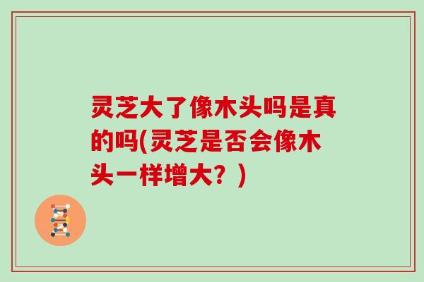 灵芝大了像木头吗是真的吗(灵芝是否会像木头一样增大？)