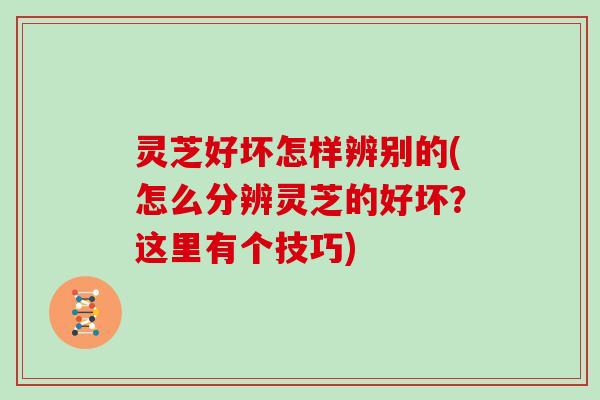 灵芝好坏怎样辨别的(怎么分辨灵芝的好坏？这里有个技巧)