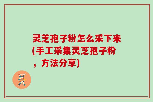 灵芝孢子粉怎么采下来(手工采集灵芝孢子粉，方法分享)