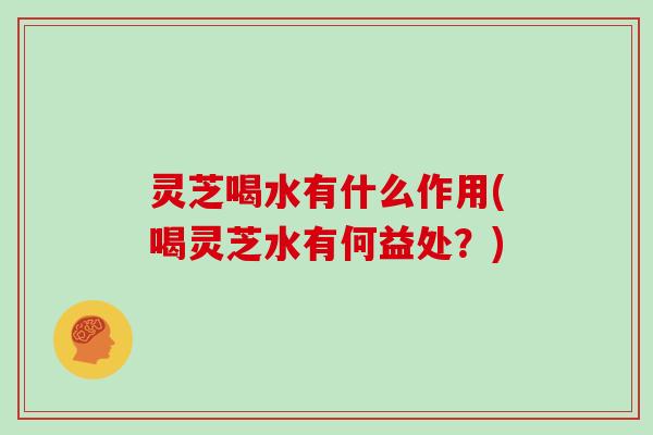 灵芝喝水有什么作用(喝灵芝水有何益处？)