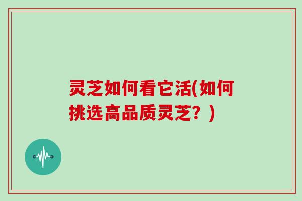 灵芝如何看它活(如何挑选高品质灵芝？)