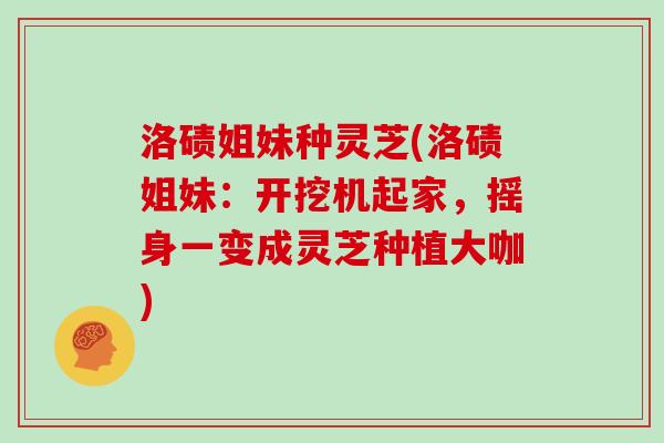 洛碛姐妹种灵芝(洛碛姐妹：开挖机起家，摇身一变成灵芝种植大咖)