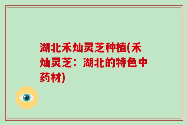湖北禾灿灵芝种植(禾灿灵芝：湖北的特色中药材)