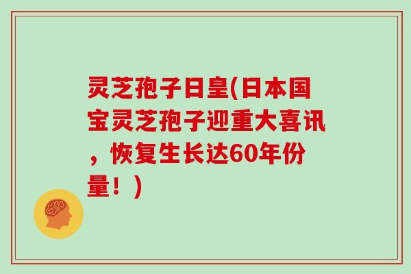 灵芝孢子日皇(日本国宝灵芝孢子迎重大喜讯，恢复生长达60年份量！)