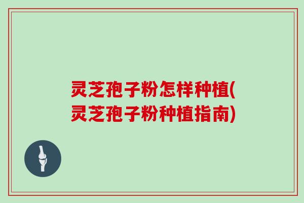 灵芝孢子粉怎样种植(灵芝孢子粉种植指南)
