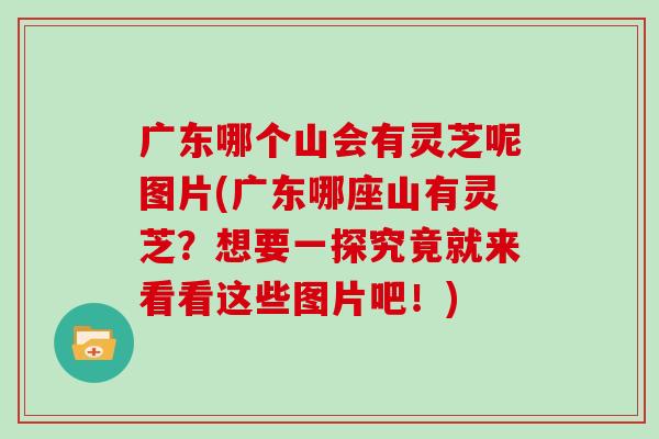 广东哪个山会有灵芝呢图片(广东哪座山有灵芝？想要一探究竟就来看看这些图片吧！)