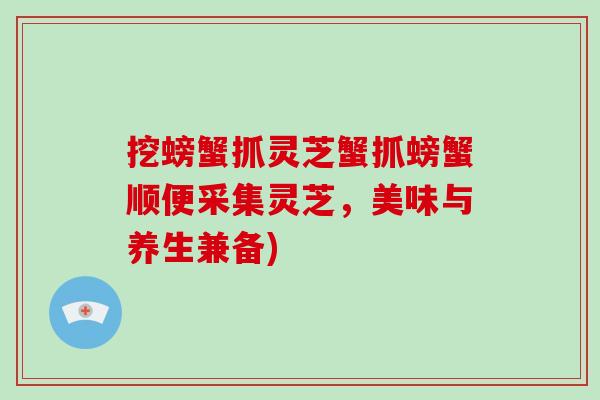 挖螃蟹抓灵芝蟹抓螃蟹顺便采集灵芝，美味与养生兼备)