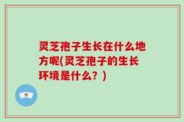 灵芝孢子生长在什么地方呢(灵芝孢子的生长环境是什么？)