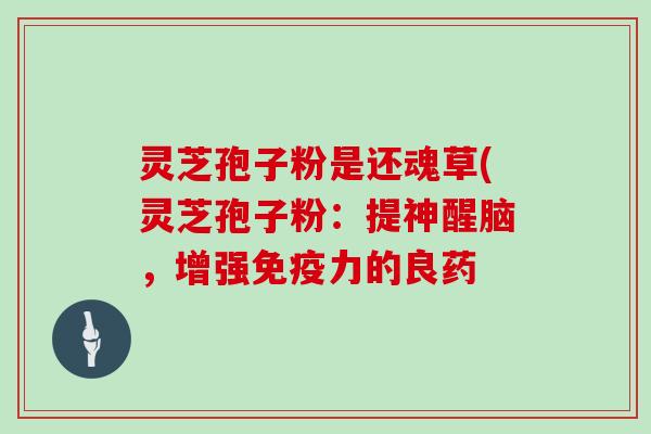 灵芝孢子粉是还魂草(灵芝孢子粉：提神醒脑，增强免疫力的良药