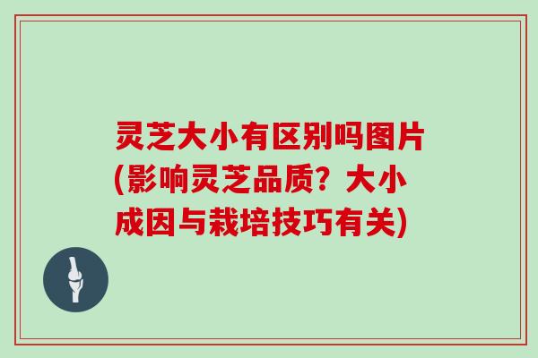 灵芝大小有区别吗图片(影响灵芝品质？大小成因与栽培技巧有关)
