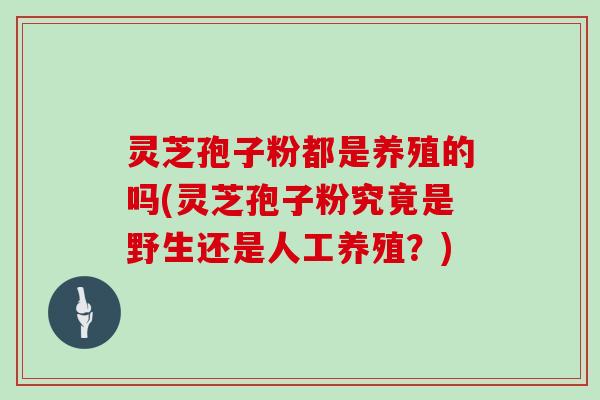 灵芝孢子粉都是养殖的吗(灵芝孢子粉究竟是野生还是人工养殖？)