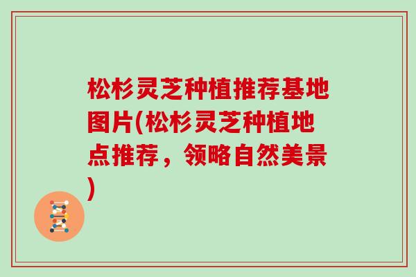 松杉灵芝种植推荐基地图片(松杉灵芝种植地点推荐，领略自然美景)
