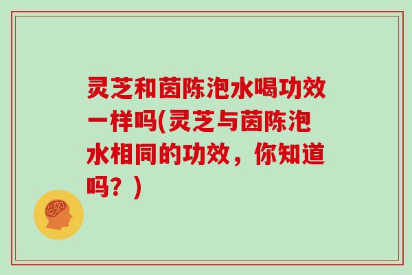 灵芝和茵陈泡水喝功效一样吗(灵芝与茵陈泡水相同的功效，你知道吗？)