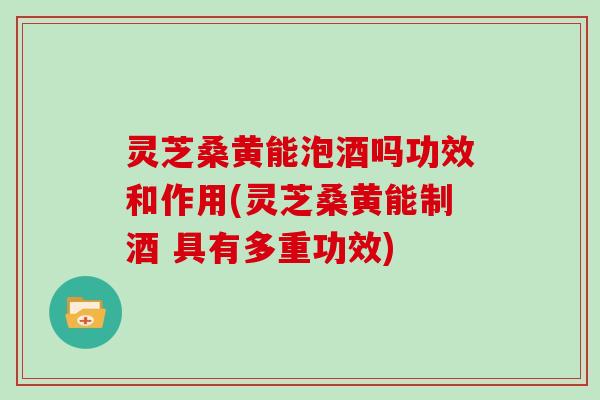 灵芝桑黄能泡酒吗功效和作用(灵芝桑黄能制酒 具有多重功效)