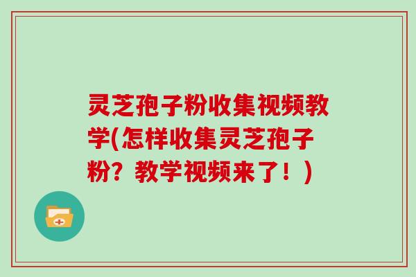 灵芝孢子粉收集视频教学(怎样收集灵芝孢子粉?教学视频来了!)-第1张图片-灵芝大师 灵芝孢子粉收集视频教学(怎样收集灵芝孢子粉?教学视频来了!)-第1张图片-灵芝大师