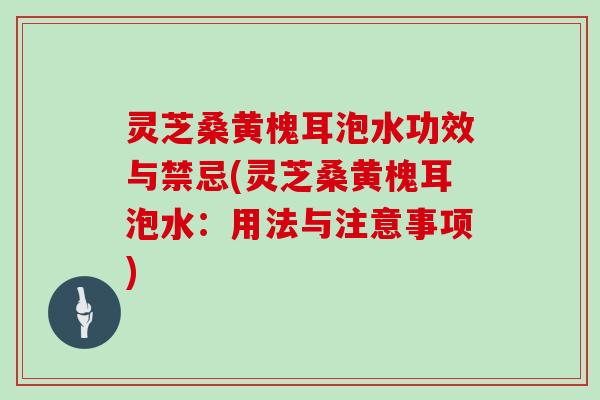 灵芝桑黄槐耳泡水功效与禁忌(灵芝桑黄槐耳泡水：用法与注意事项)