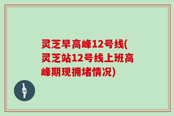 灵芝早高峰12号线(灵芝站12号线上班高峰期现拥堵情况)-第1张图片-灵芝大师 灵芝早高峰12号线(灵芝站12号线上班高峰期现拥堵情况)-第1张图片-灵芝大师