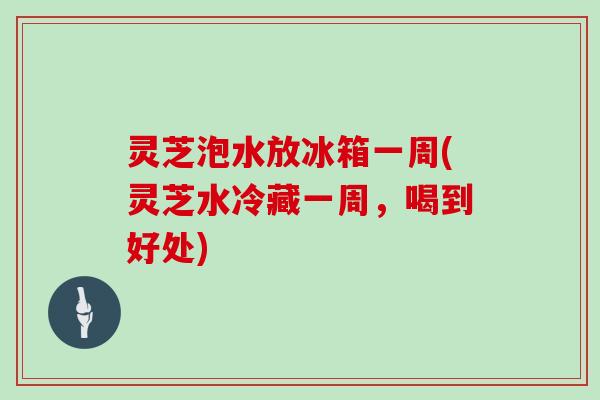 灵芝泡水放冰箱一周(灵芝水冷藏一周，喝到好处)