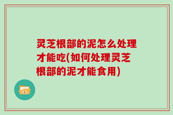 灵芝根部的泥怎么处理才能吃(如何处理灵芝根部的泥才能食用)