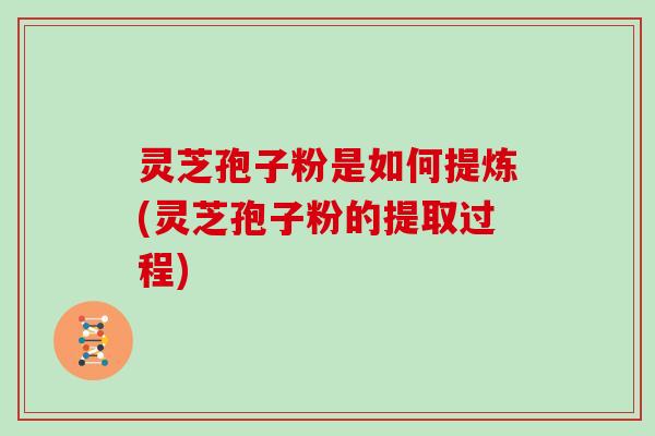 灵芝孢子粉是如何提炼(灵芝孢子粉的提取过程)