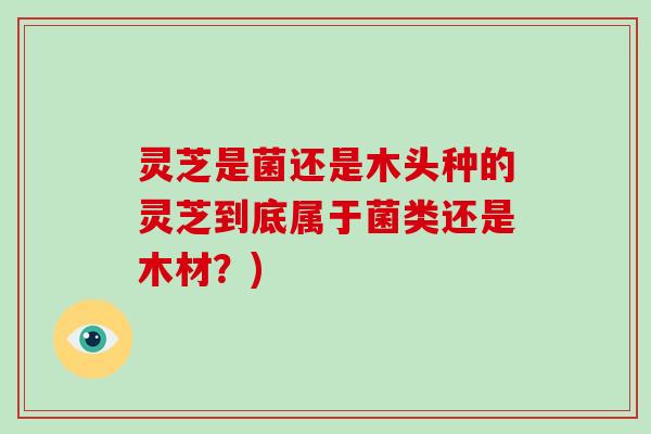 灵芝是菌还是木头种的灵芝到底属于菌类还是木材？)