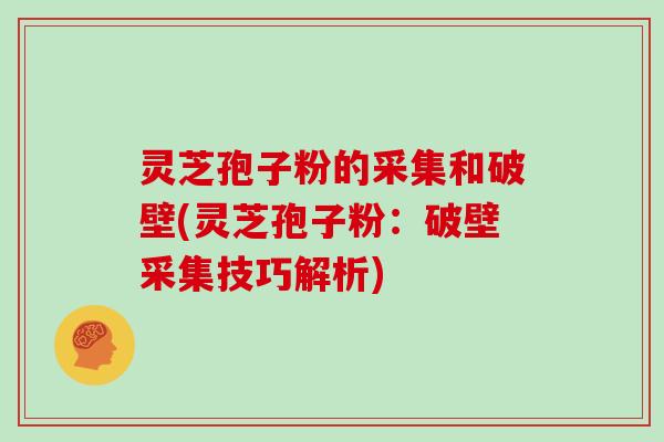 灵芝孢子粉的采集和破壁(灵芝孢子粉：破壁采集技巧解析)