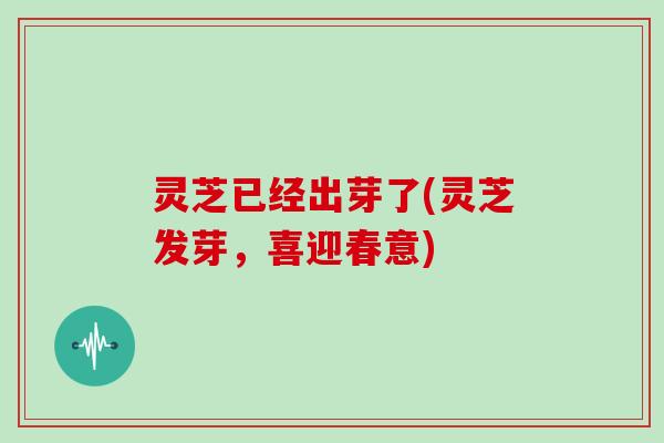 灵芝已经出芽了(灵芝发芽,喜迎春意)-第1张图片-灵芝大师 灵芝已经出芽了(灵芝发芽,喜迎春意)-第1张图片-灵芝大师