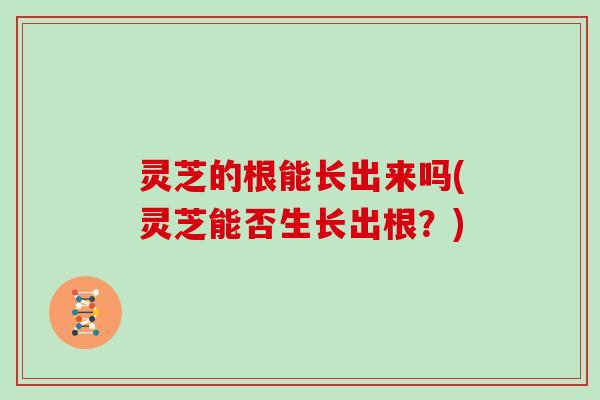灵芝的根能长出来吗(灵芝能否生长出根？)