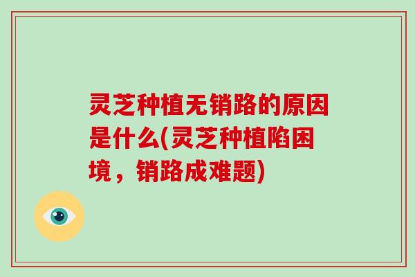 灵芝种植无销路的原因是什么(灵芝种植陷困境，销路成难题)