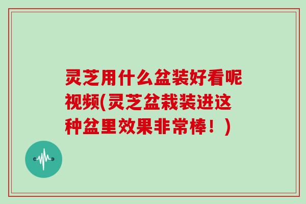 灵芝用什么盆装好看呢视频(灵芝盆栽装进这种盆里效果非常棒！)