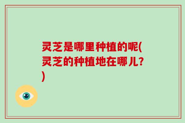 灵芝是哪里种植的呢(灵芝的种植地在哪儿？)