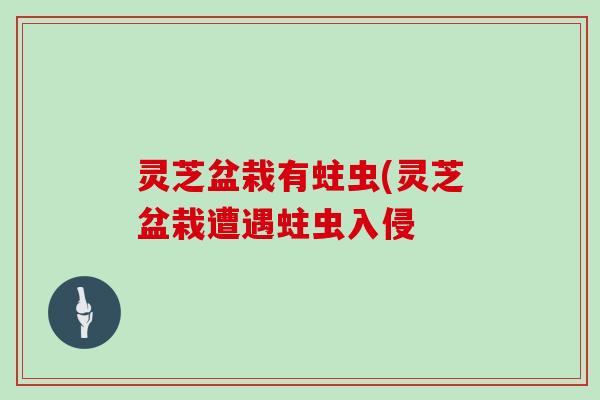灵芝盆栽有蛀虫(灵芝盆栽遭遇蛀虫入侵-第1张图片-灵芝大师 灵芝盆栽有蛀虫(灵芝盆栽遭遇蛀虫入侵-第1张图片-灵芝大师