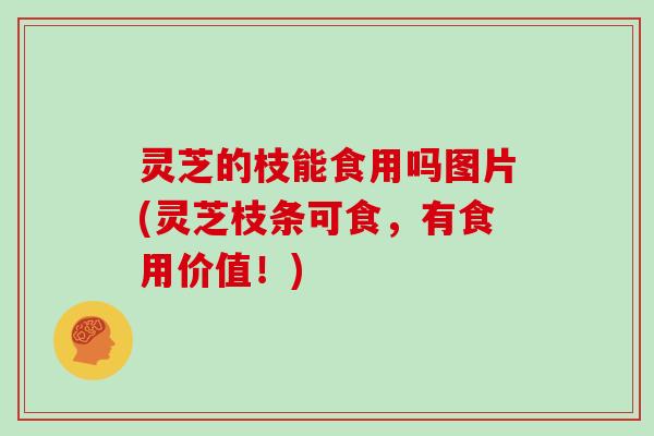 灵芝的枝能食用吗图片(灵芝枝条可食，有食用价值！)
