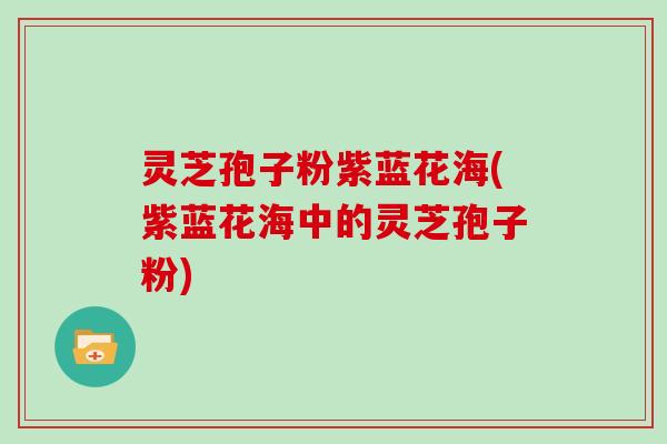 灵芝孢子粉紫蓝花海(紫蓝花海中的灵芝孢子粉)