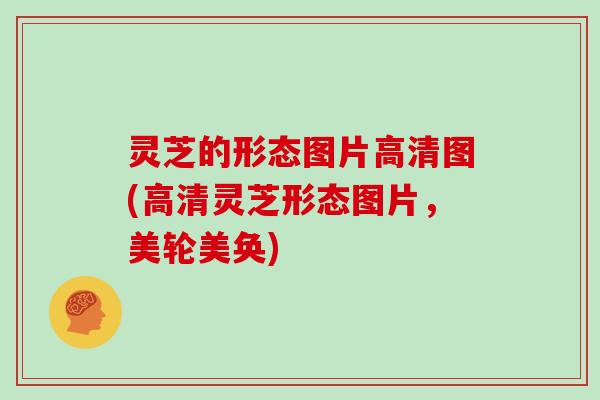灵芝的形态图片高清图(高清灵芝形态图片，美轮美奂)