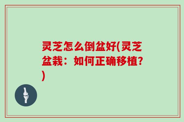 灵芝怎么倒盆好(灵芝盆栽：如何正确移植？)